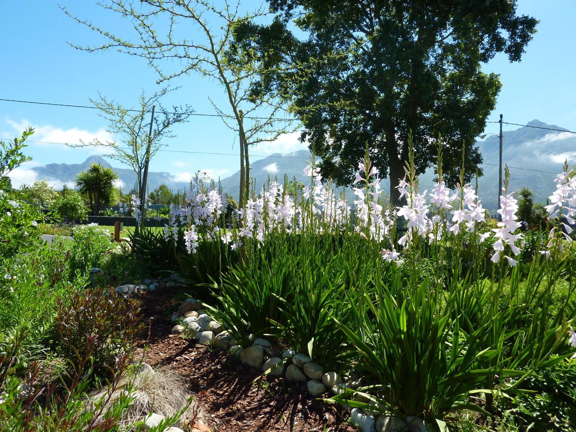A Hilltop Country Retreat Swellendam Exterior foto